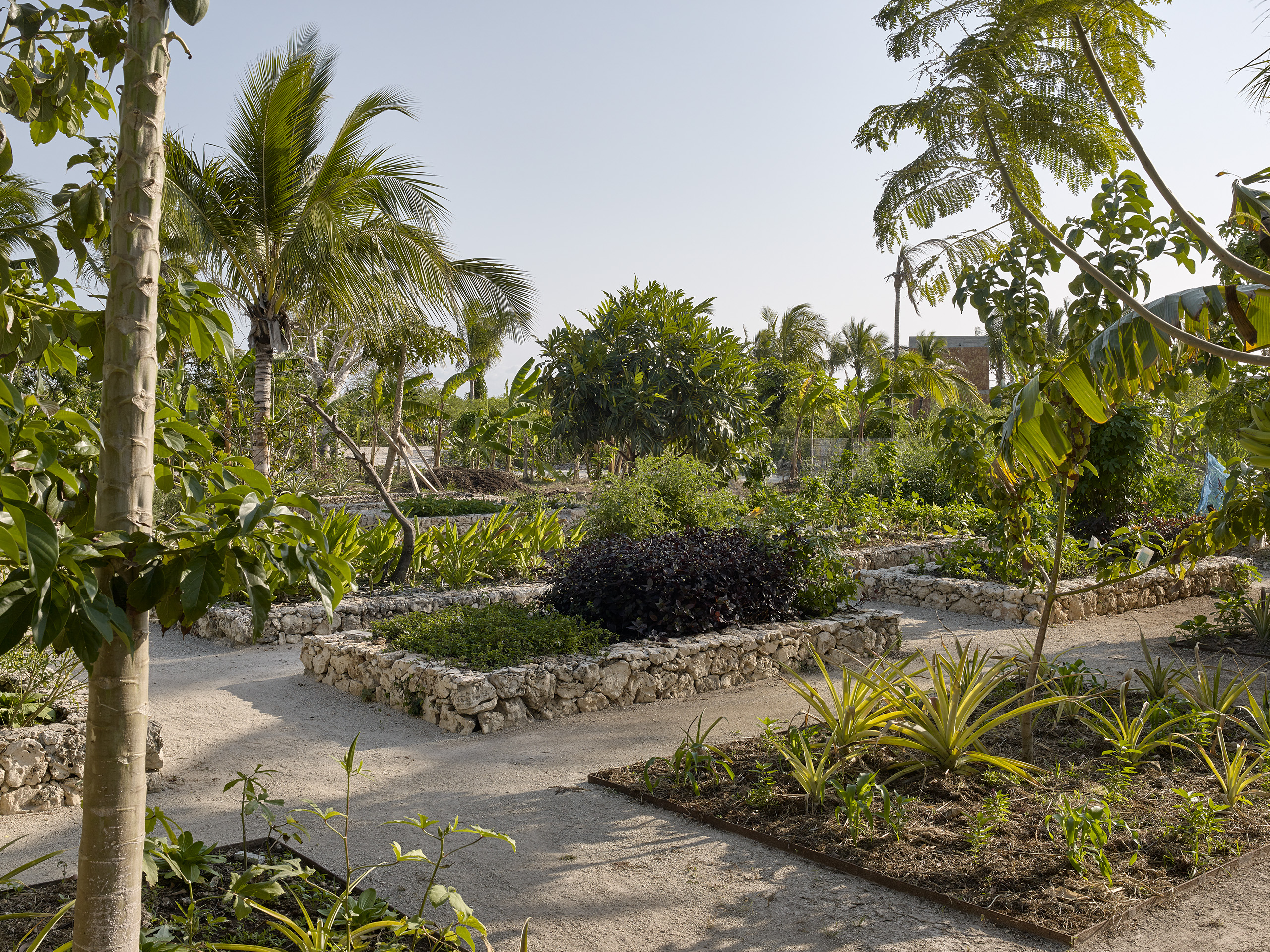 Kizikula, Kizimkazi, Zanzibar